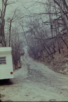 Looking up old beach road